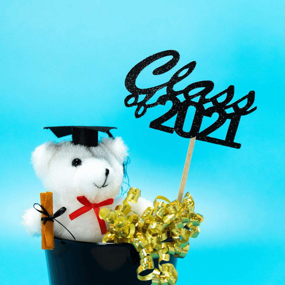 Memorable Graduation Stuffed Animal Gifts for Every Graduate